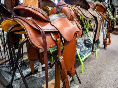 1 MSH_FeaturedSaddle04