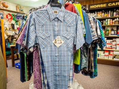 31 MensShortSleeveShirts