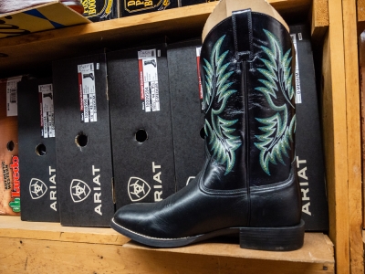 Hoffmann, Stables, Horse, Equine, Colt, Filly, Mare, Stallion, Bronco, Foal, Gelding, Mustang, Pony, Tack, Western, Wear, Cowboy, Boots, Jeans, Clothing, Outerwear, Grooming, Saddle, Stable, Deb, Gifts, Jewelry, cowboy hats, cowboy boots, riding boots, horse tack, breeding, artificial insemination, palomino, Arabian, brood mare, horse trainer, riding, stables, equine semen, frozen, foaling out, cameras, monitoring, 4-H, Fillmore County, MAHA Leader, Wrangler, Reinsman, Montana Silversmiths, Circle Y of Yoakum, Ariat, Dan Post Cowboy Certified Boots, Cinch, Authentic Laredo Western Boots, Ely Cattleman, Tony Lama Boots, Kakadu, Outback Trading Company, Cowboy Hardware, Horze Equestrian, Troxel, Panhandle, Breyer, Arctic Horse, M&amp;F Western Products, Weaver Leather, Corral, Breeches, Helmets and Protective Gear, Riding Gloves, Horse Show Clothing, Riding Apparel, English Riding, Equestrian Outfit, Outerwear, Men’s Western Wear, Rodeo Clothing, Kids Horse Clothing, Youth, Chaps, Saddles, Saddle Pads, Horse Boots, Horse Bits, Bridles, Halters, Leads, Stirrup Irons, Girths, Name, Horse Blankets, Turnouts, Stables sheets, Fly masks, brushes, Horse Care, Lessons, Horse Riding Lessons, Preston, Harmony, Lanesboro, Mabel, Canton, Spring Grove, Caledonia, Houston, La Crescent, Rochester, Chatfield, Fountain, Wykoff, Spring Valley, Ostrander, Le Roy, Historic Forestville, Horse Camping, Horse Trails, Horse Shoes, Fair, Shows, Blue Ribbon, Iowa, Wisconsin, La Crosse, Cresco, Fisks, arena, 