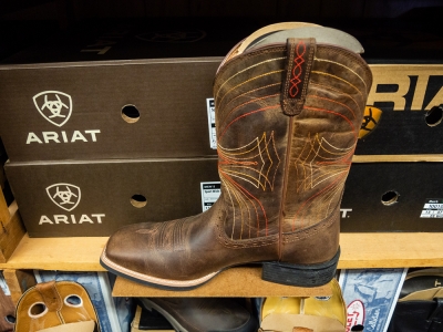 Hoffmann, Stables, Horse, Equine, Colt, Filly, Mare, Stallion, Bronco, Foal, Gelding, Mustang, Pony, Tack, Western, Wear, Cowboy, Boots, Jeans, Clothing, Outerwear, Grooming, Saddle, Stable, Deb, Gifts, Jewelry, cowboy hats, cowboy boots, riding boots, horse tack, breeding, artificial insemination, palomino, Arabian, brood mare, horse trainer, riding, stables, equine semen, frozen, foaling out, cameras, monitoring, 4-H, Fillmore County, MAHA Leader, Wrangler, Reinsman, Montana Silversmiths, Circle Y of Yoakum, Ariat, Dan Post Cowboy Certified Boots, Cinch, Authentic Laredo Western Boots, Ely Cattleman, Tony Lama Boots, Kakadu, Outback Trading Company, Cowboy Hardware, Horze Equestrian, Troxel, Panhandle, Breyer, Arctic Horse, M&amp;F Western Products, Weaver Leather, Corral, Breeches, Helmets and Protective Gear, Riding Gloves, Horse Show Clothing, Riding Apparel, English Riding, Equestrian Outfit, Outerwear, Men’s Western Wear, Rodeo Clothing, Kids Horse Clothing, Youth, Chaps, Saddles, Saddle Pads, Horse Boots, Horse Bits, Bridles, Halters, Leads, Stirrup Irons, Girths, Name, Horse Blankets, Turnouts, Stables sheets, Fly masks, brushes, Horse Care, Lessons, Horse Riding Lessons, Preston, Harmony, Lanesboro, Mabel, Canton, Spring Grove, Caledonia, Houston, La Crescent, Rochester, Chatfield, Fountain, Wykoff, Spring Valley, Ostrander, Le Roy, Historic Forestville, Horse Camping, Horse Trails, Horse Shoes, Fair, Shows, Blue Ribbon, Iowa, Wisconsin, La Crosse, Cresco, Fisks, arena, 