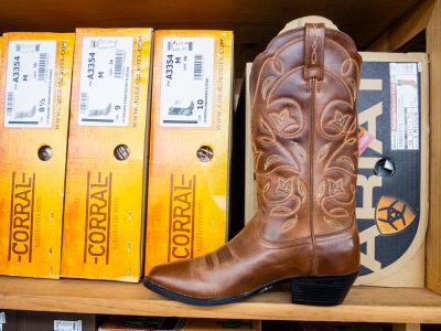 Hoffmann, Stables, Horse, Equine, Colt, Filly, Mare, Stallion, Bronco, Foal, Gelding, Mustang, Pony, Tack, Western, Wear, Cowboy, Boots, Jeans, Clothing, Outerwear, Grooming, Saddle, Stable, Deb, Gifts, Jewelry, cowboy hats, cowboy boots, riding boots, horse tack, breeding, artificial insemination, palomino, Arabian, brood mare, horse trainer, riding, stables, equine semen, frozen, foaling out, cameras, monitoring, 4-H, Fillmore County, MAHA Leader, Wrangler, Reinsman, Montana Silversmiths, Circle Y of Yoakum, Ariat, Dan Post Cowboy Certified Boots, Cinch, Authentic Laredo Western Boots, Ely Cattleman, Tony Lama Boots, Kakadu, Outback Trading Company, Cowboy Hardware, Horze Equestrian, Troxel, Panhandle, Breyer, Arctic Horse, M&amp;F Western Products, Weaver Leather, Corral, Breeches, Helmets and Protective Gear, Riding Gloves, Horse Show Clothing, Riding Apparel, English Riding, Equestrian Outfit, Outerwear, Men’s Western Wear, Rodeo Clothing, Kids Horse Clothing, Youth, Chaps, Saddles, Saddle Pads, Horse Boots, Horse Bits, Bridles, Halters, Leads, Stirrup Irons, Girths, Name, Horse Blankets, Turnouts, Stables sheets, Fly masks, brushes, Horse Care, Lessons, Horse Riding Lessons, Preston, Harmony, Lanesboro, Mabel, Canton, Spring Grove, Caledonia, Houston, La Crescent, Rochester, Chatfield, Fountain, Wykoff, Spring Valley, Ostrander, Le Roy, Historic Forestville, Horse Camping, Horse Trails, Horse Shoes, Fair, Shows, Blue Ribbon, Iowa, Wisconsin, La Crosse, Cresco, Fisks, arena, 