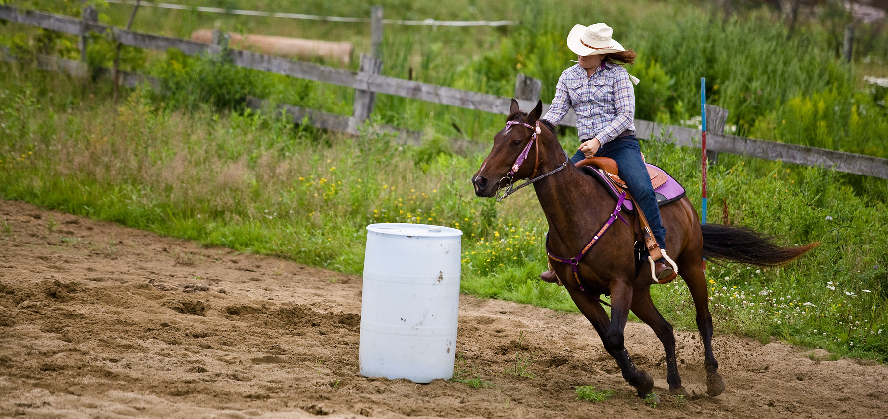 Hoffmann, Stables, Horse, Equine, Colt, Filly, Mare, Stallion, Bronco, Foal, Gelding, Mustang, Pony, Tack, Western, Wear, Cowboy, Boots, Jeans, Clothing, Outerwear, Grooming, Saddle, Stable, Deb, Gifts, Jewelry, cowboy hats, cowboy boots, riding boots, horse tack, breeding, artificial insemination, palomino, Arabian, brood mare, horse trainer, riding, stables, equine semen, frozen, foaling out, cameras, monitoring, 4-H, Fillmore County, MAHA Leader, Wrangler, Reinsman, Montana Silversmiths, Circle Y of Yoakum, Ariat, Dan Post Cowboy Certified Boots, Cinch, Authentic Laredo Western Boots, Ely Cattleman, Tony Lama Boots, Kakadu, Outback Trading Company, Cowboy Hardware, Horze Equestrian, Troxel, Panhandle, Breyer, Arctic Horse, M&F Western Products, Weaver Leather, Corral, Breeches, Helmets and Protective Gear, Riding Gloves, Horse Show Clothing, Riding Apparel, English Riding, Equestrian Outfit, Outerwear, Men’s Western Wear, Rodeo Clothing, Kids Horse Clothing, Youth, Chaps, Saddles, Saddle Pads, Horse Boots, Horse Bits, Bridles, Halters, Leads, Stirrup Irons, Girths, Name, Horse Blankets, Turnouts, Stables sheets, Fly masks, brushes, Horse Care, Lessons, Horse Riding Lessons, Preston, Harmony, Lanesboro, Mabel, Canton, Spring Grove, Caledonia, Houston, La Crescent, Rochester, Chatfield, Fountain, Wykoff, Spring Valley, Ostrander, Le Roy, Historic Forestville, Horse Camping, Horse Trails, Horse Shoes, Fair, Shows, Blue Ribbon, Iowa, Wisconsin, La Crosse, Cresco, Fisks, arena, 