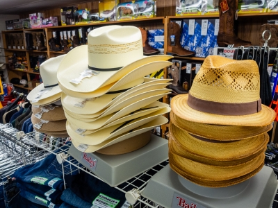 StrawHats3