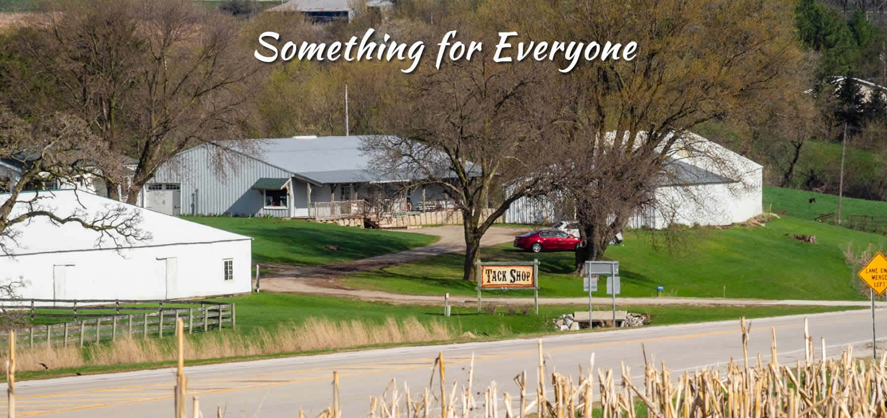 Hoffmann, Stables, Horse, Equine, Colt, Filly, Mare, Stallion, Bronco, Foal, Gelding, Mustang, Pony, Tack, Western, Wear, Cowboy, Boots, Jeans, Clothing, Outerwear, Grooming, Saddle, Stable, Deb, Gifts, Jewelry, cowboy hats, cowboy boots, riding boots, horse tack, breeding, artificial insemination, palomino, Arabian, brood mare, horse trainer, riding, stables, equine semen, frozen, foaling out, cameras, monitoring, 4-H, Fillmore County, MAHA Leader, Wrangler, Reinsman, Montana Silversmiths, Circle Y of Yoakum, Ariat, Dan Post Cowboy Certified Boots, Cinch, Authentic Laredo Western Boots, Ely Cattleman, Tony Lama Boots, Kakadu, Outback Trading Company, Cowboy Hardware, Horze Equestrian, Troxel, Panhandle, Breyer, Arctic Horse, M&F Western Products, Weaver Leather, Corral, Breeches, Helmets and Protective Gear, Riding Gloves, Horse Show Clothing, Riding Apparel, English Riding, Equestrian Outfit, Outerwear, Men’s Western Wear, Rodeo Clothing, Kids Horse Clothing, Youth, Chaps, Saddles, Saddle Pads, Horse Boots, Horse Bits, Bridles, Halters, Leads, Stirrup Irons, Girths, Name, Horse Blankets, Turnouts, Stables sheets, Fly masks, brushes, Horse Care, Lessons, Horse Riding Lessons, Preston, Harmony, Lanesboro, Mabel, Canton, Spring Grove, Caledonia, Houston, La Crescent, Rochester, Chatfield, Fountain, Wykoff, Spring Valley, Ostrander, Le Roy, Historic Forestville, Horse Camping, Horse Trails, Horse Shoes, Fair, Shows, Blue Ribbon, Iowa, Wisconsin, La Crosse, Cresco, Fisks, arena, 