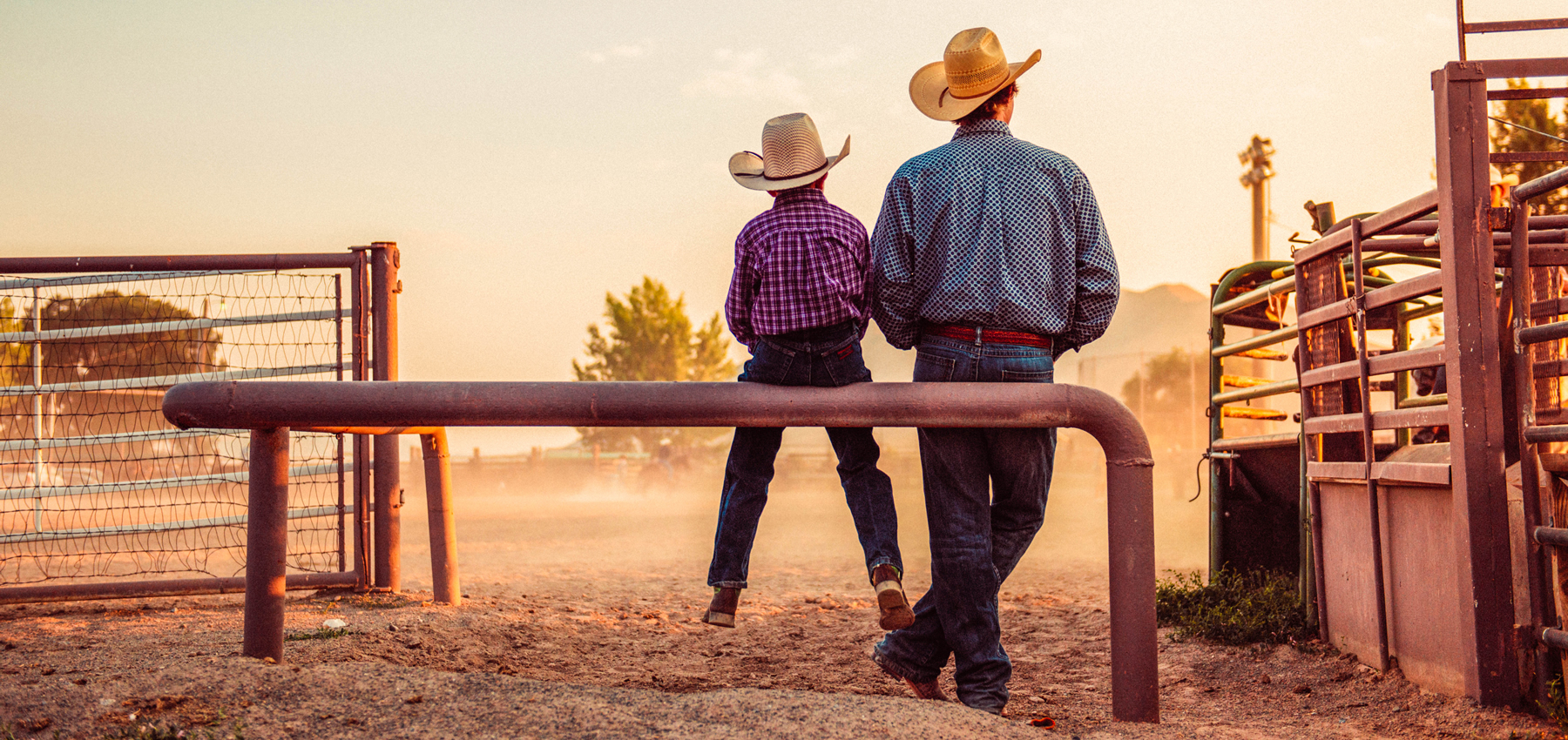 Hoffmann, Stables, Horse, Equine, Colt, Filly, Mare, Stallion, Bronco, Foal, Gelding, Mustang, Pony, Tack, Western, Wear, Cowboy, Boots, Jeans, Clothing, Outerwear, Grooming, Saddle, Stable, Deb, Gifts, Jewelry, cowboy hats, cowboy boots, riding boots, horse tack, breeding, artificial insemination, palomino, Arabian, brood mare, horse trainer, riding, stables, equine semen, frozen, foaling out, cameras, monitoring, 4-H, Fillmore County, MAHA Leader, Wrangler, Reinsman, Montana Silversmiths, Circle Y of Yoakum, Ariat, Dan Post Cowboy Certified Boots, Cinch, Authentic Laredo Western Boots, Ely Cattleman, Tony Lama Boots, Kakadu, Outback Trading Company, Cowboy Hardware, Horze Equestrian, Troxel, Panhandle, Breyer, Arctic Horse, M&F Western Products, Weaver Leather, Corral, Breeches, Helmets and Protective Gear, Riding Gloves, Horse Show Clothing, Riding Apparel, English Riding, Equestrian Outfit, Outerwear, Men’s Western Wear, Rodeo Clothing, Kids Horse Clothing, Youth, Chaps, Saddles, Saddle Pads, Horse Boots, Horse Bits, Bridles, Halters, Leads, Stirrup Irons, Girths, Name, Horse Blankets, Turnouts, Stables sheets, Fly masks, brushes, Horse Care, Lessons, Horse Riding Lessons, Preston, Harmony, Lanesboro, Mabel, Canton, Spring Grove, Caledonia, Houston, La Crescent, Rochester, Chatfield, Fountain, Wykoff, Spring Valley, Ostrander, Le Roy, Historic Forestville, Horse Camping, Horse Trails, Horse Shoes, Fair, Shows, Blue Ribbon, Iowa, Wisconsin, La Crosse, Cresco, Fisks, arena, 