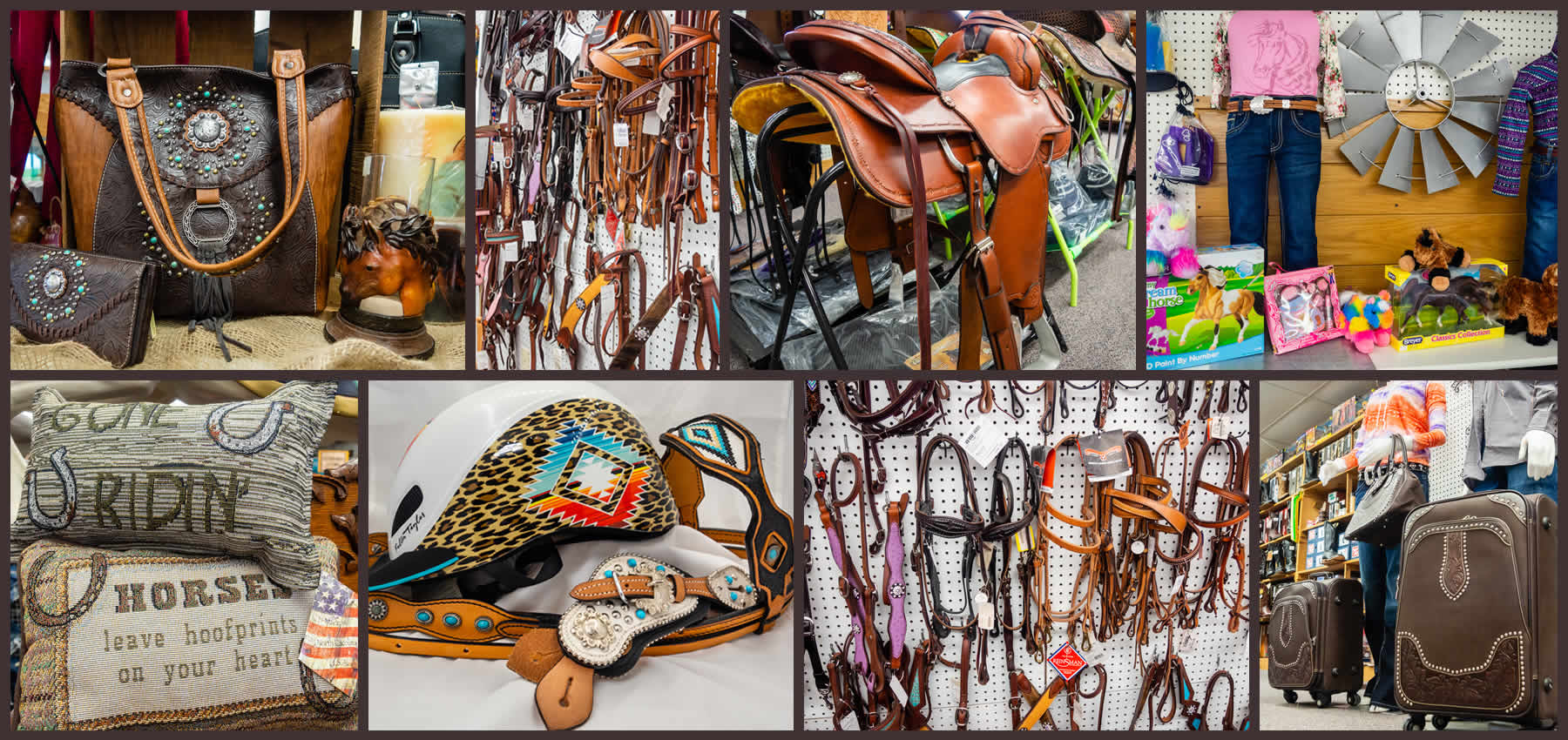 Hoffmann, Stables, Horse, Equine, Colt, Filly, Mare, Stallion, Bronco, Foal, Gelding, Mustang, Pony, Tack, Western, Wear, Cowboy, Boots, Jeans, Clothing, Outerwear, Grooming, Saddle, Stable, Deb, Gifts, Jewelry, cowboy hats, cowboy boots, riding boots, horse tack, breeding, artificial insemination, palomino, Arabian, brood mare, horse trainer, riding, stables, equine semen, frozen, foaling out, cameras, monitoring, 4-H, Fillmore County, MAHA Leader, Wrangler, Reinsman, Montana Silversmiths, Circle Y of Yoakum, Ariat, Dan Post Cowboy Certified Boots, Cinch, Authentic Laredo Western Boots, Ely Cattleman, Tony Lama Boots, Kakadu, Outback Trading Company, Cowboy Hardware, Horze Equestrian, Troxel, Panhandle, Breyer, Arctic Horse, M&F Western Products, Weaver Leather, Corral, Breeches, Helmets and Protective Gear, Riding Gloves, Horse Show Clothing, Riding Apparel, English Riding, Equestrian Outfit, Outerwear, Men’s Western Wear, Rodeo Clothing, Kids Horse Clothing, Youth, Chaps, Saddles, Saddle Pads, Horse Boots, Horse Bits, Bridles, Halters, Leads, Stirrup Irons, Girths, Name, Horse Blankets, Turnouts, Stables sheets, Fly masks, brushes, Horse Care, Lessons, Horse Riding Lessons, Preston, Harmony, Lanesboro, Mabel, Canton, Spring Grove, Caledonia, Houston, La Crescent, Rochester, Chatfield, Fountain, Wykoff, Spring Valley, Ostrander, Le Roy, Historic Forestville, Horse Camping, Horse Trails, Horse Shoes, Fair, Shows, Blue Ribbon, Iowa, Wisconsin, La Crosse, Cresco, Fisks, arena, 